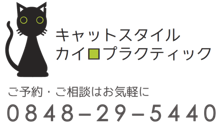 尾道で一番うでのいい整体・カイロのお店。骨盤矯正、産後骨盤矯正でも効果実感の技術。