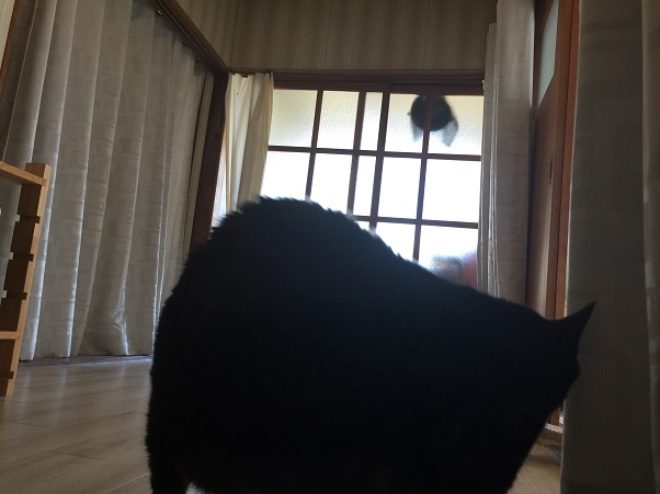 尾道で一番うでのいい整体・カイロプラクティックのお店です。