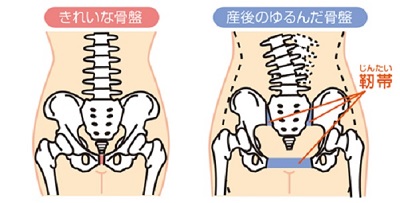 尾道で一番腕のいい整体・カイロプラクティックのお店です。産後の骨盤矯正にはキャットスタイルがオススメのお店です。